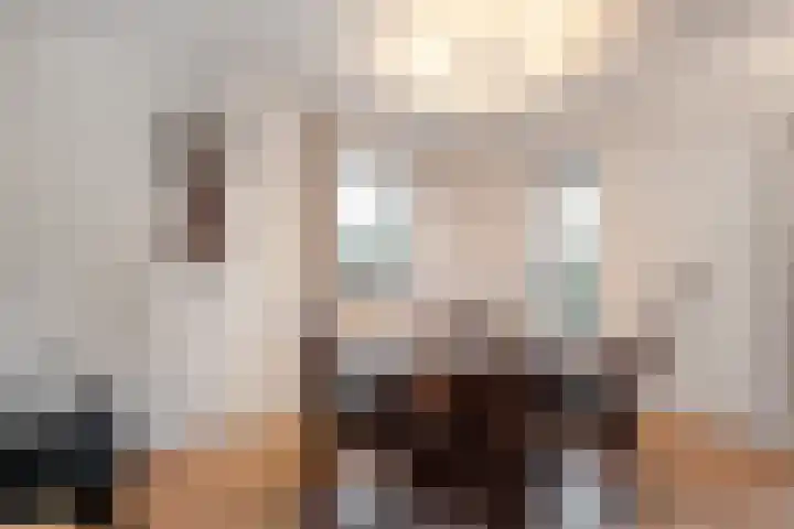 Sterappel 23 Heino thumbnail 19