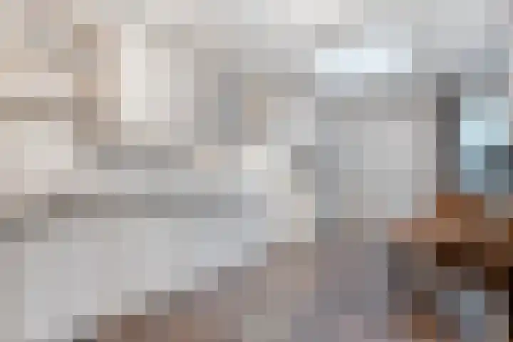 Sterappel 23 Heino thumbnail 20