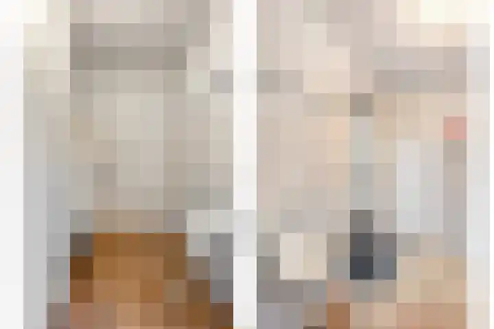 Sterappel 23 Heino thumbnail 28