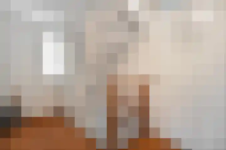 Sterappel 23 Heino thumbnail 29