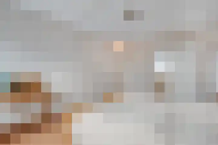 Sterappel 23 Heino thumbnail 32