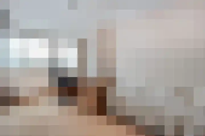 Sterappel 23 Heino thumbnail 33