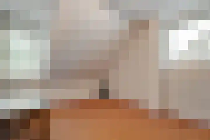 Sterappel 23 Heino thumbnail 35