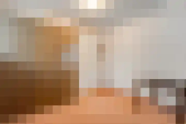 Sterappel 23 Heino thumbnail 36