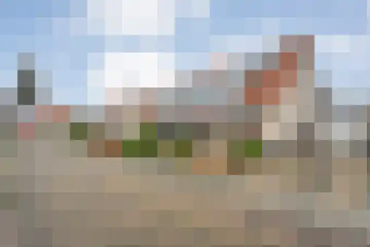 Sterappel 23 Heino thumbnail 4