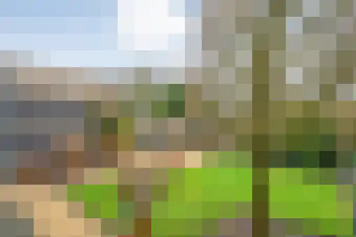 Sterappel 23 Heino thumbnail 43