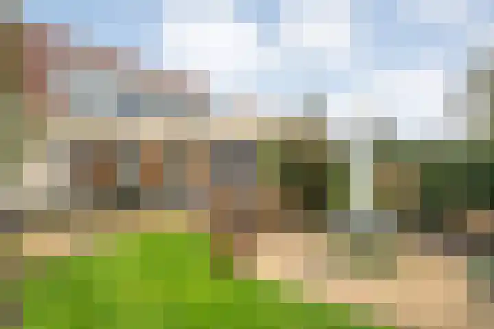 Sterappel 23 Heino thumbnail 44