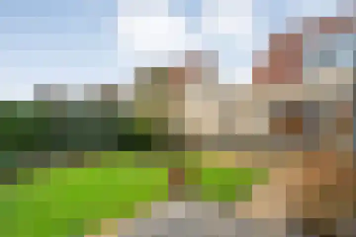 Sterappel 23 Heino thumbnail 45