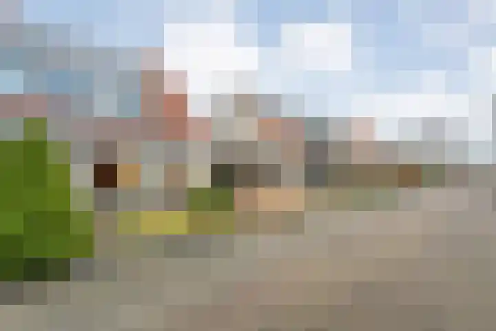 Sterappel 23 Heino thumbnail 5