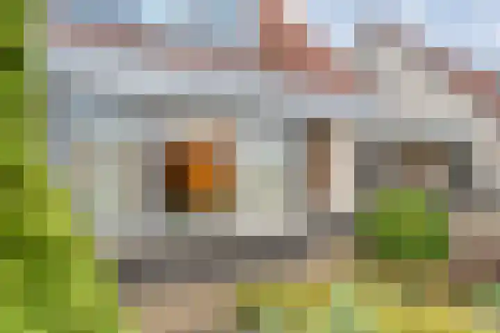Sterappel 23 Heino thumbnail 6
