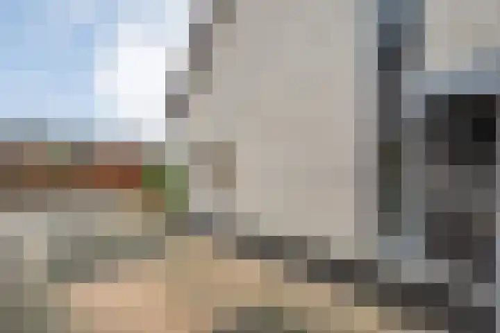 Sterappel 23 Heino thumbnail 8