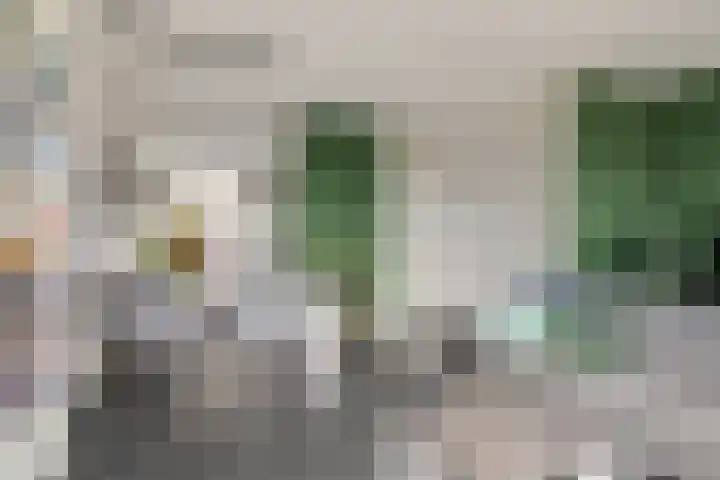 Sterappel 23 Helden thumbnail 10