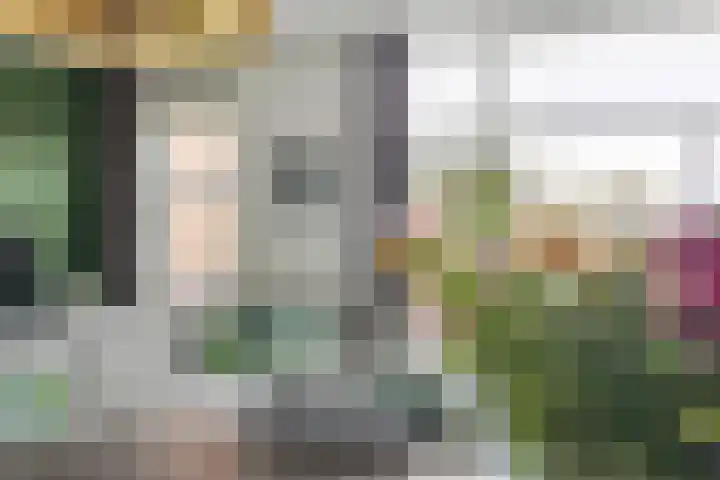 Sterappel 23 Helden thumbnail 11