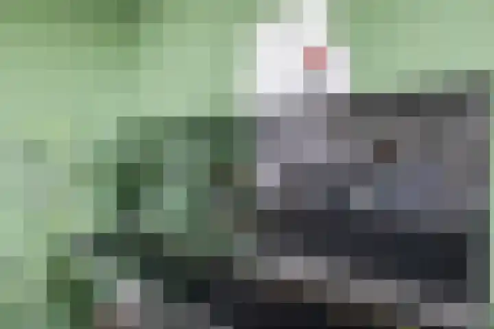 Sterappel 23 Helden thumbnail 15