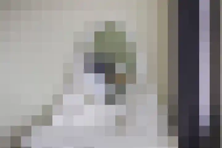 Sterappel 23 Helden thumbnail 20