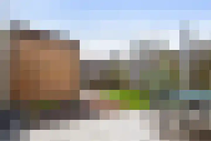 Sterappel 23 Helden thumbnail 34