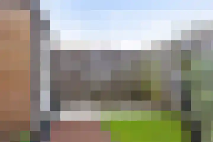 Sterappel 23 Helden thumbnail 36