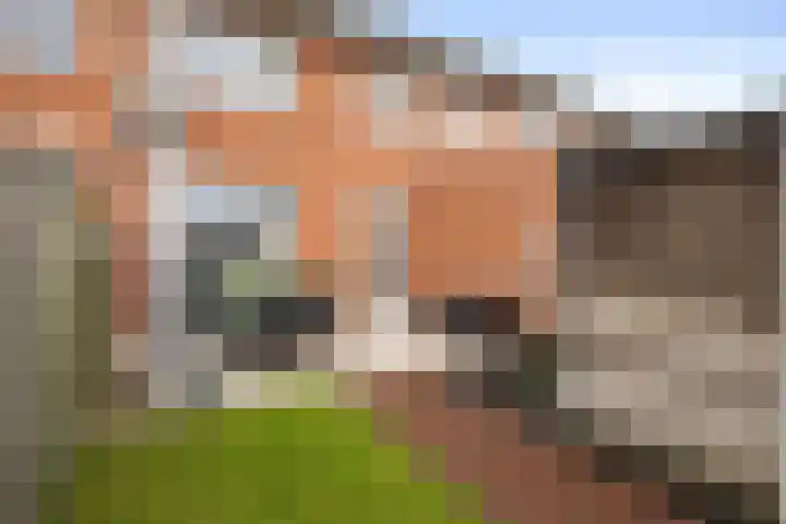 Sterappel 23 Helden thumbnail 37