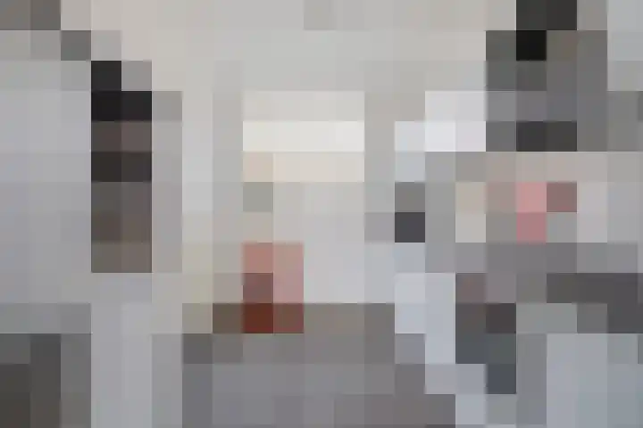 Sterappel 23 Helden thumbnail 7