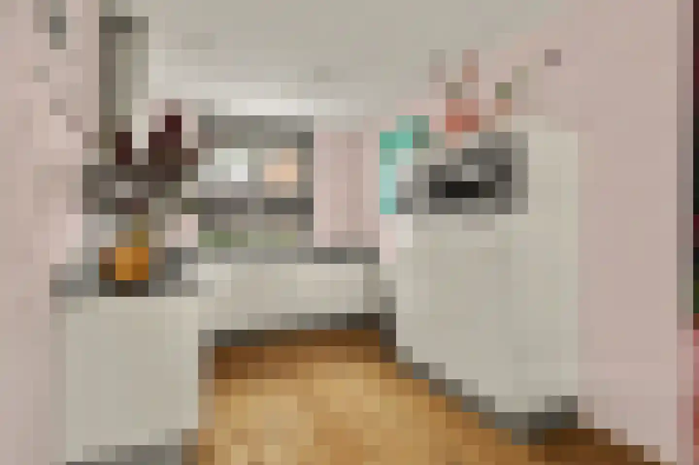 Sterappel 26 Fijnaart thumbnail 10