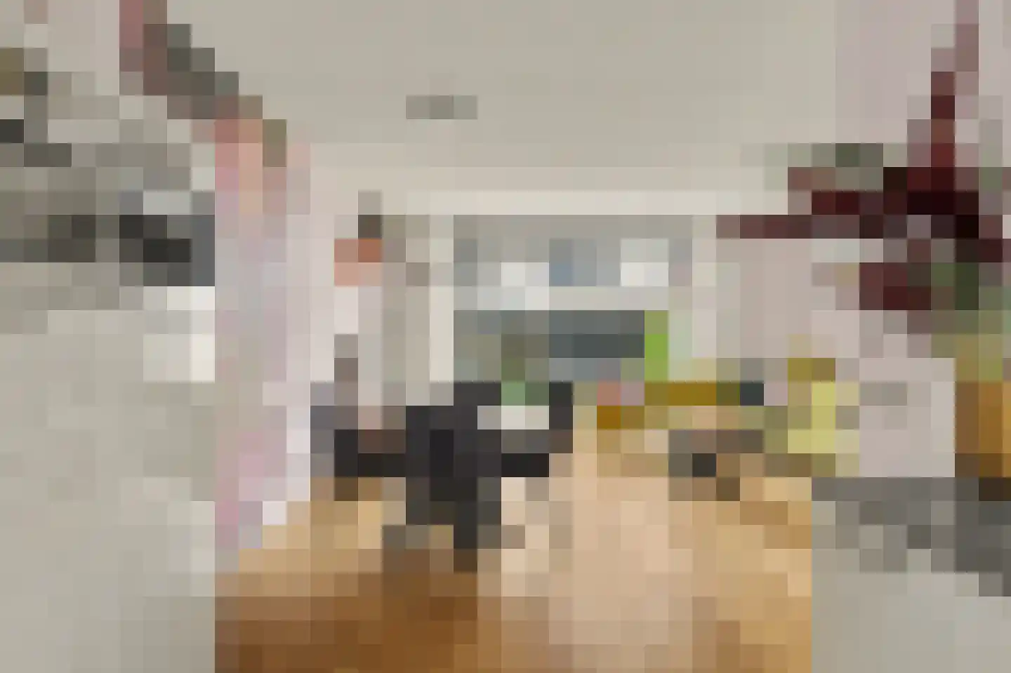 Sterappel 26 Fijnaart thumbnail 12