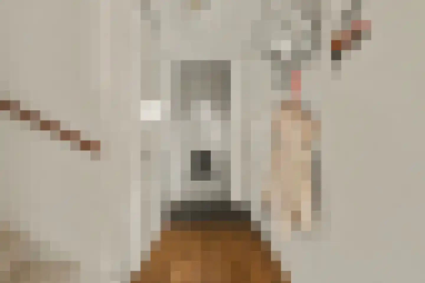 Sterappel 26 Fijnaart thumbnail 14