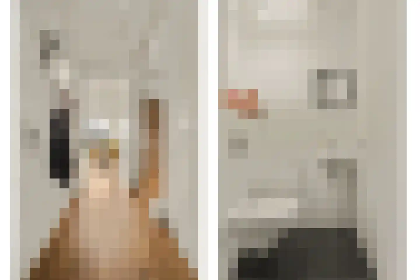 Sterappel 26 Fijnaart thumbnail 15