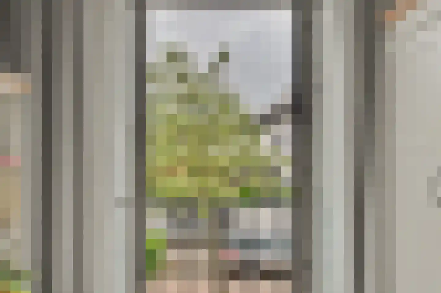 Sterappel 26 Fijnaart thumbnail 22