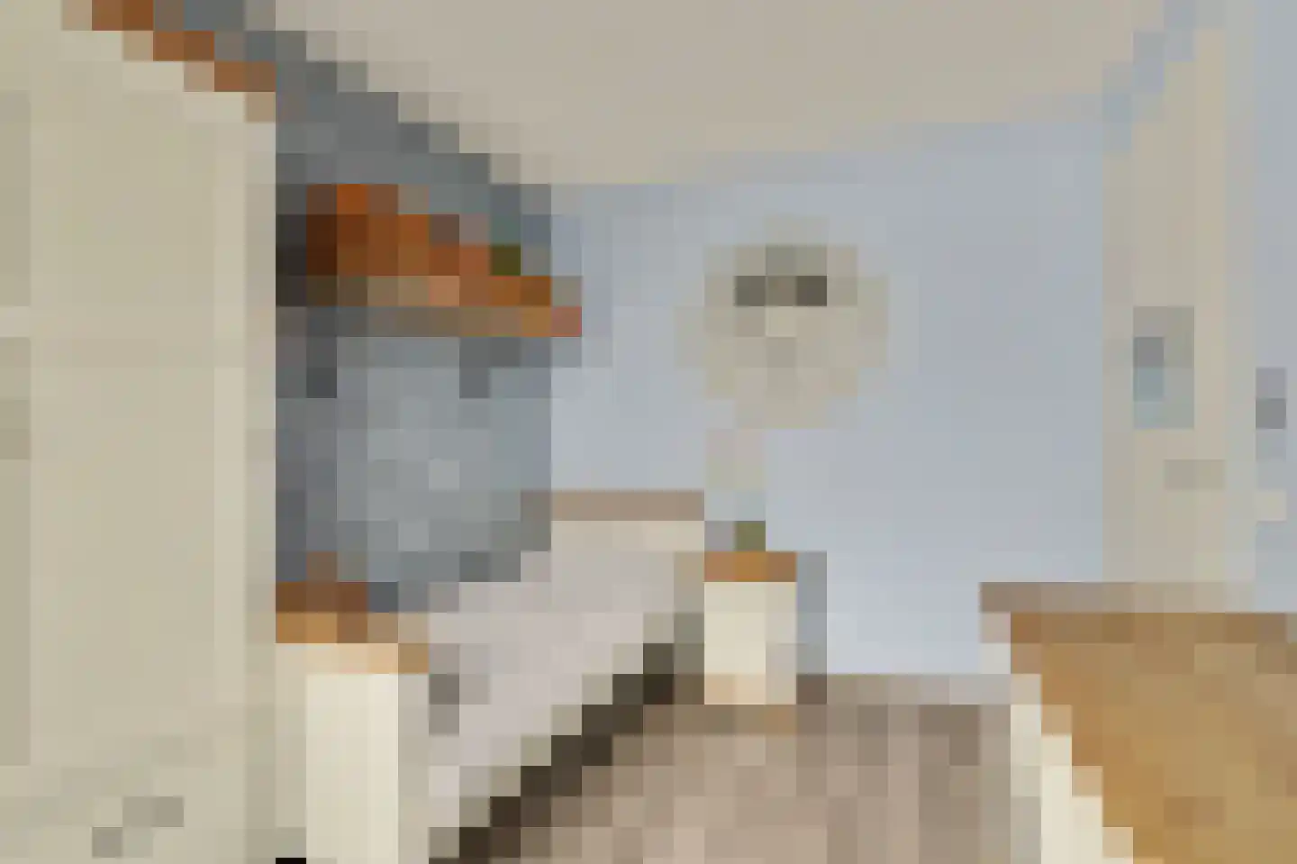 Sterappel 26 Fijnaart thumbnail 23