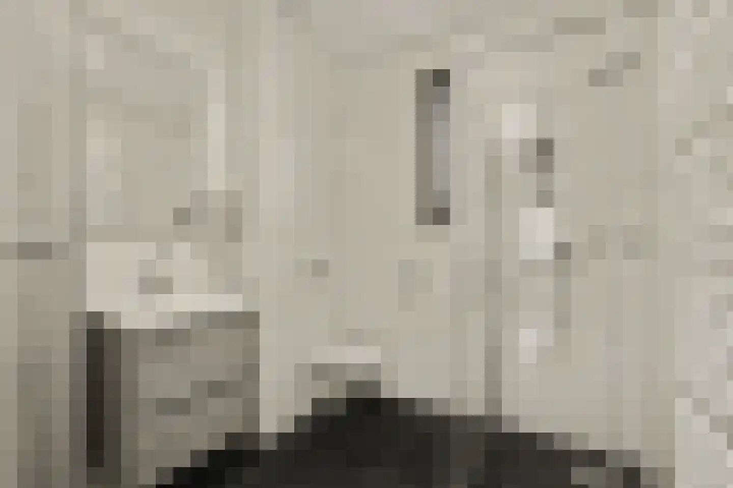 Sterappel 26 Fijnaart thumbnail 24