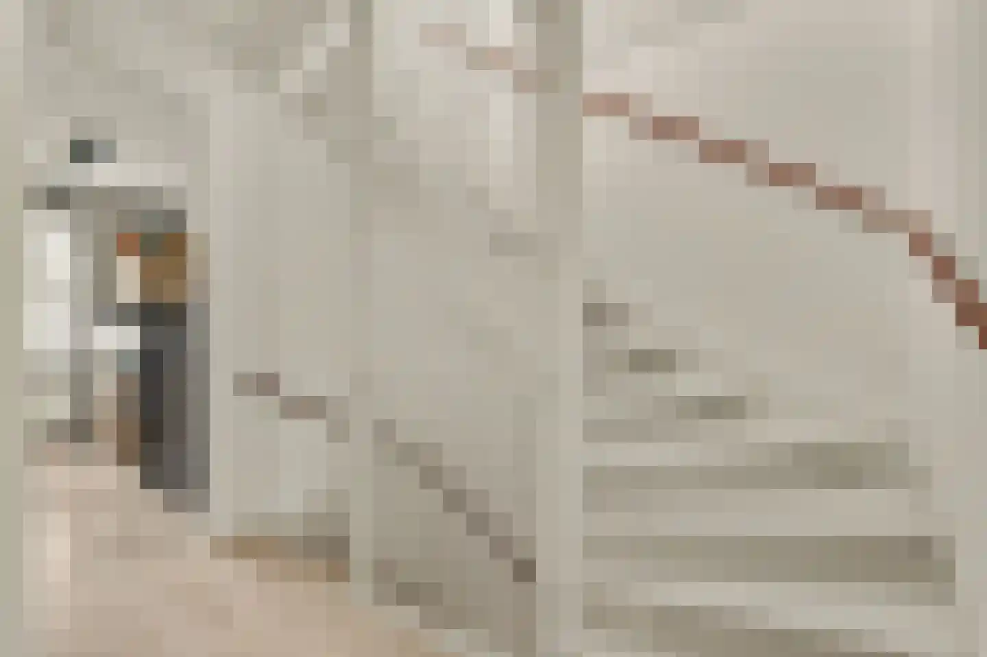 Sterappel 26 Fijnaart thumbnail 27