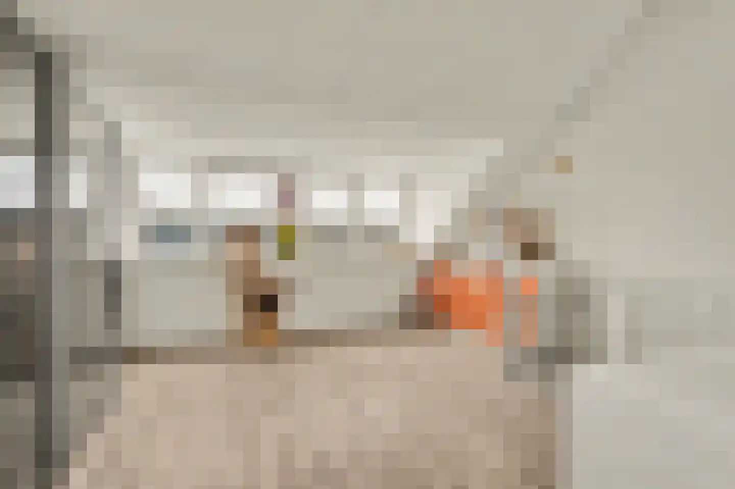 Sterappel 26 Fijnaart thumbnail 28