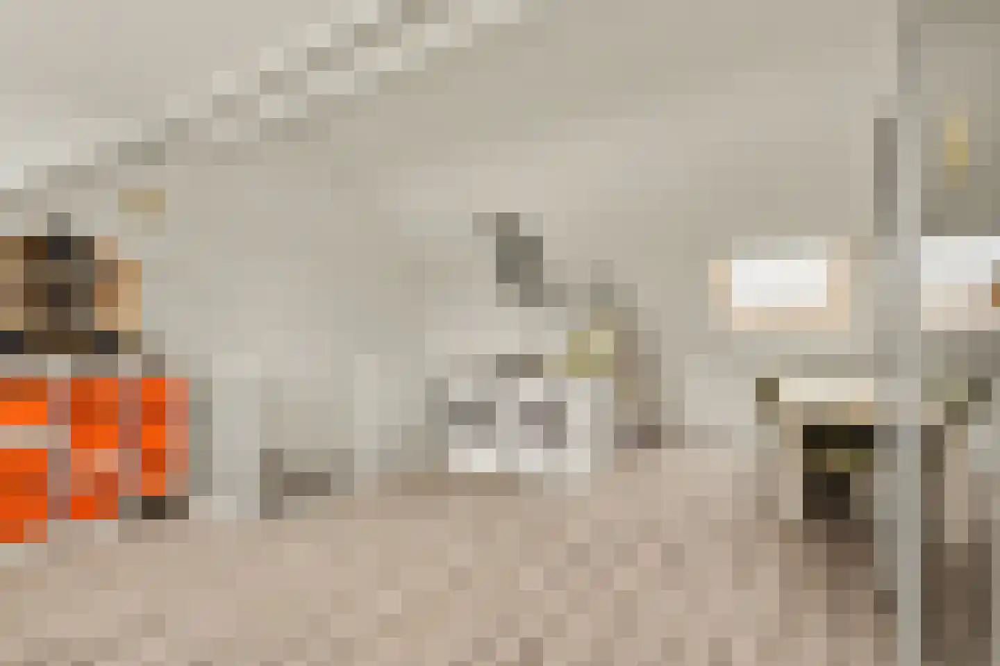 Sterappel 26 Fijnaart thumbnail 29