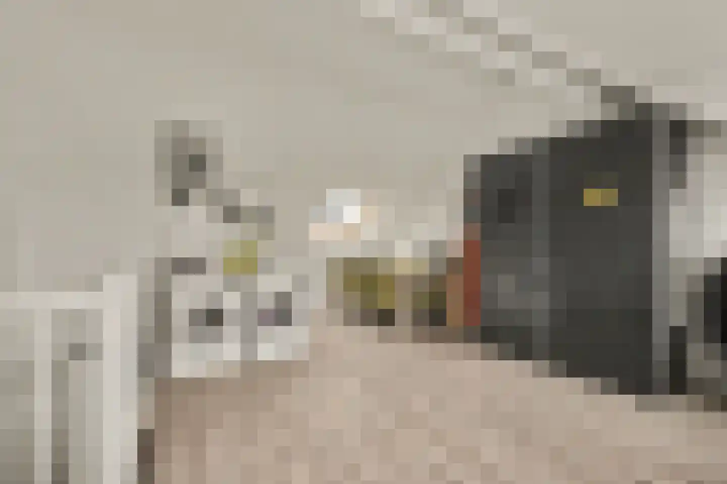 Sterappel 26 Fijnaart thumbnail 30