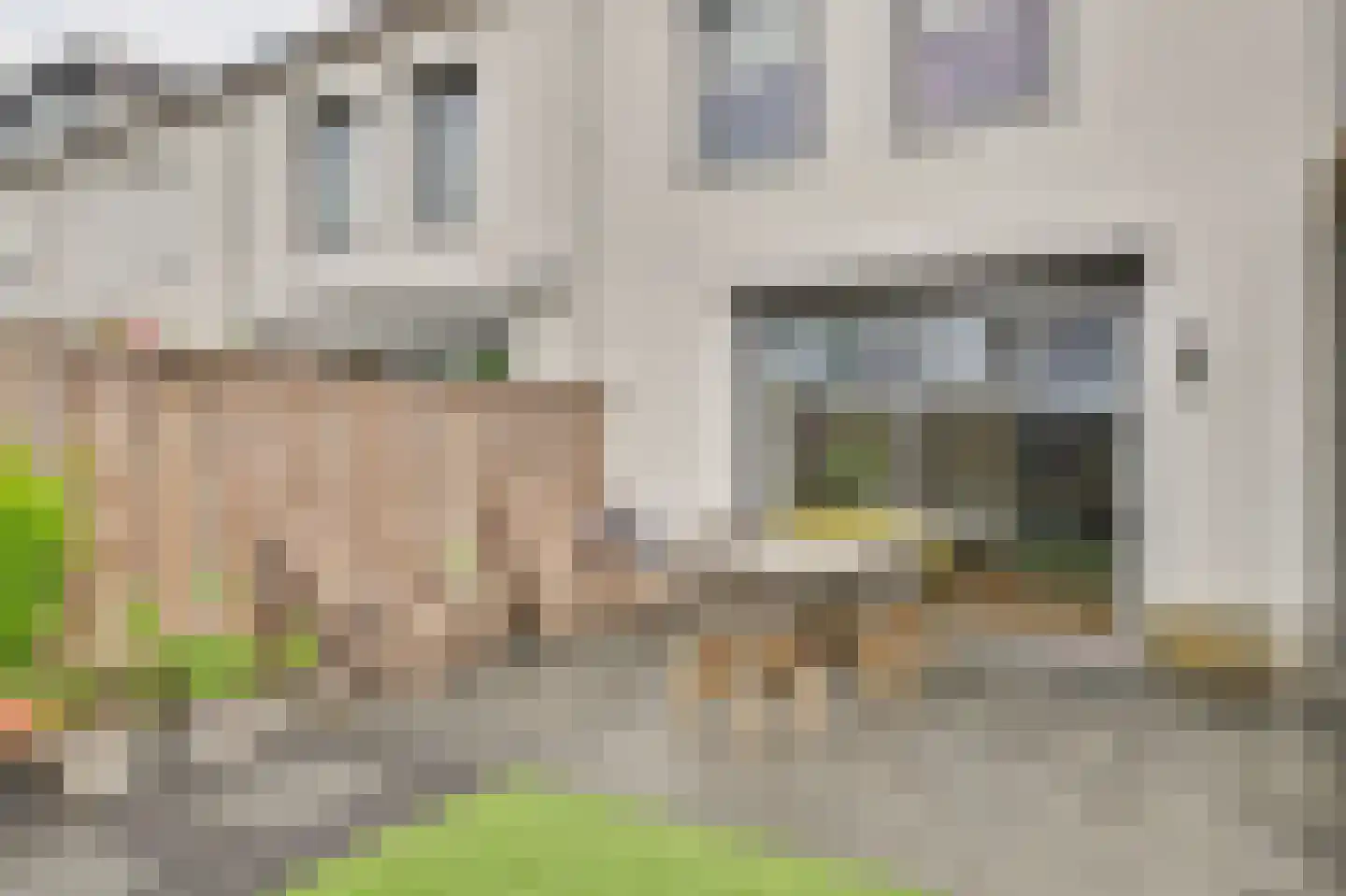 Sterappel 26 Fijnaart thumbnail 33