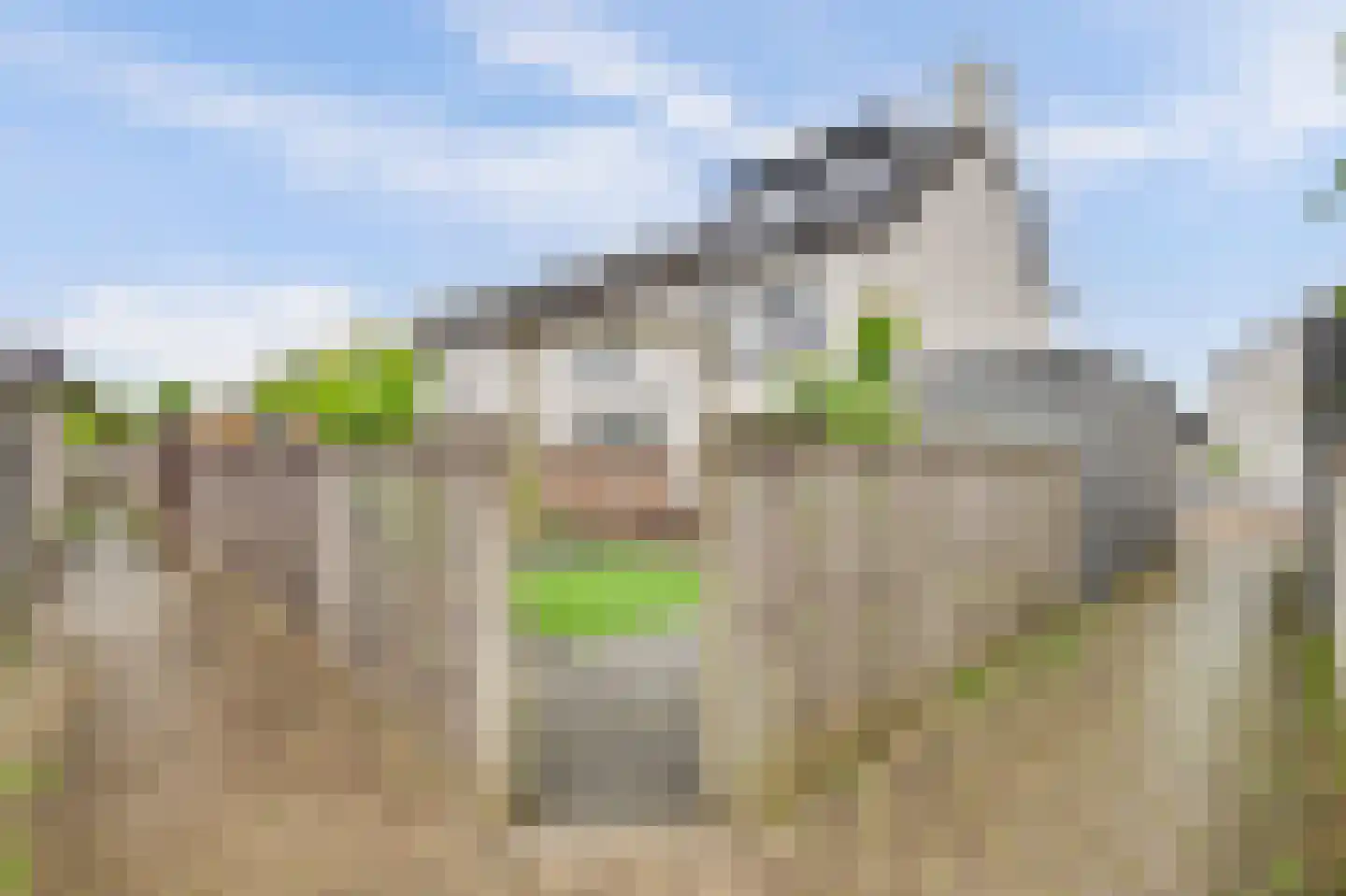 Sterappel 26 Fijnaart thumbnail 36