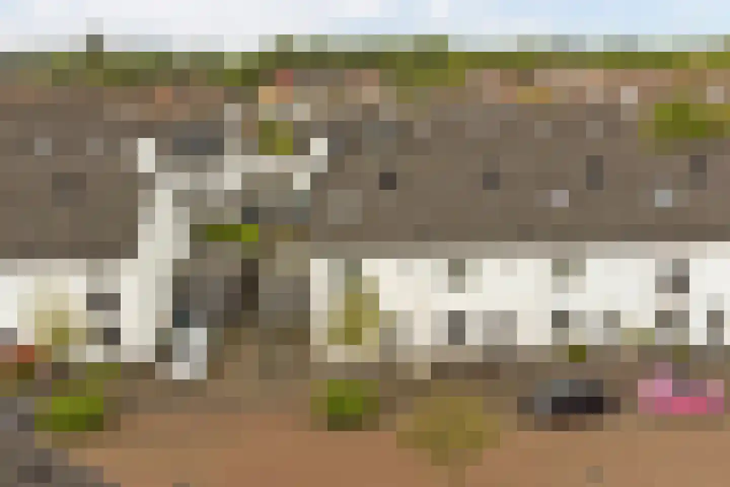 Sterappel 26 Fijnaart thumbnail 38