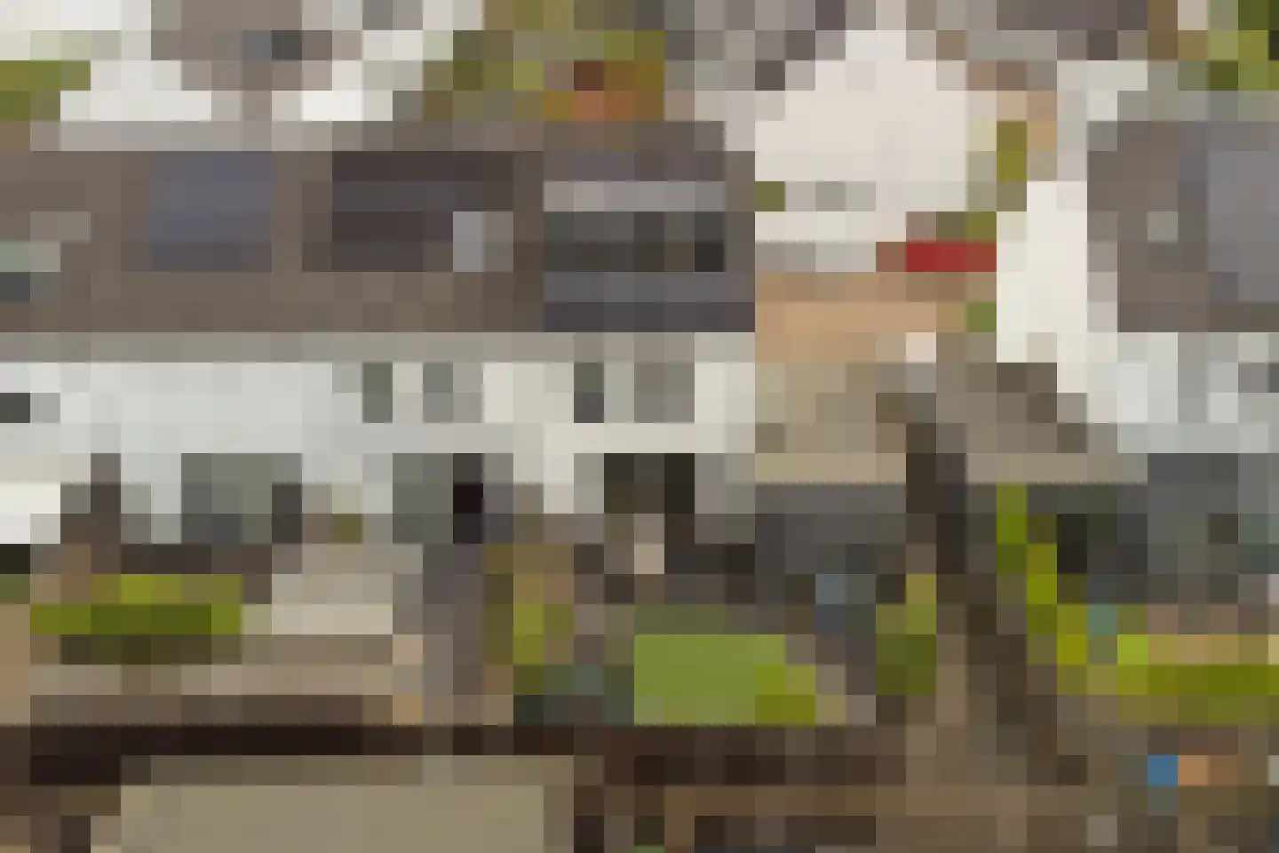Sterappel 26 Fijnaart thumbnail 41