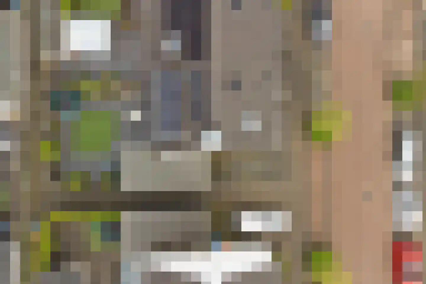 Sterappel 26 Fijnaart thumbnail 42