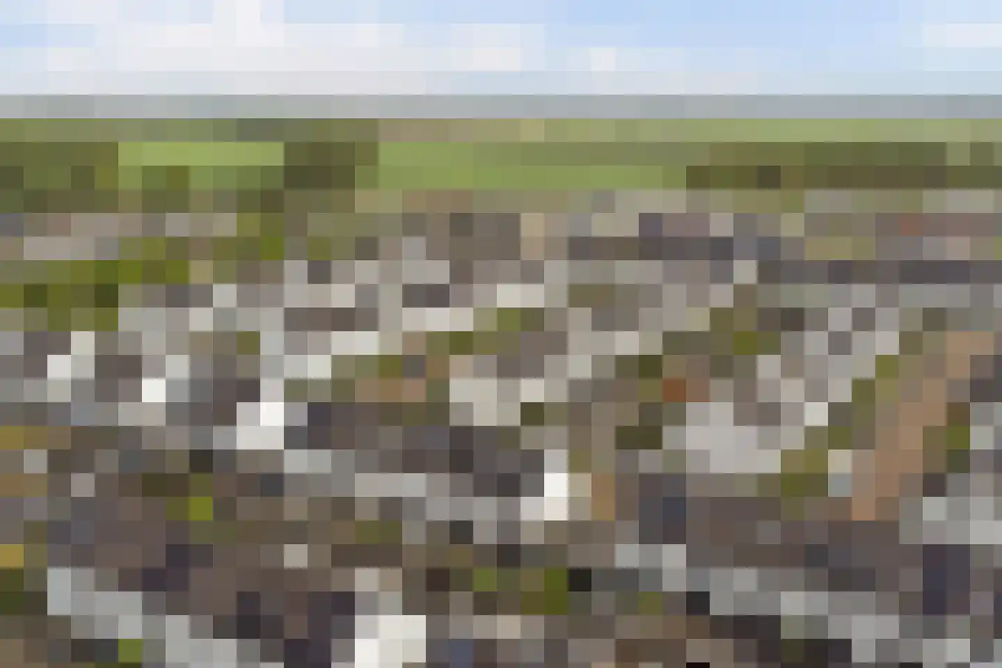 Sterappel 26 Fijnaart thumbnail 43