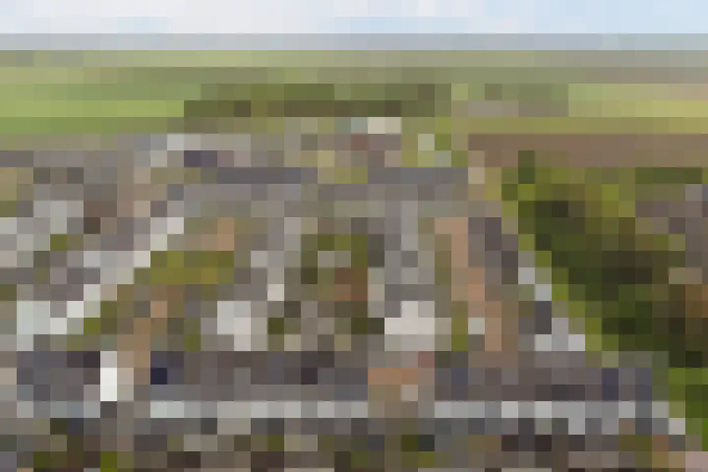 Sterappel 26 Fijnaart thumbnail 44