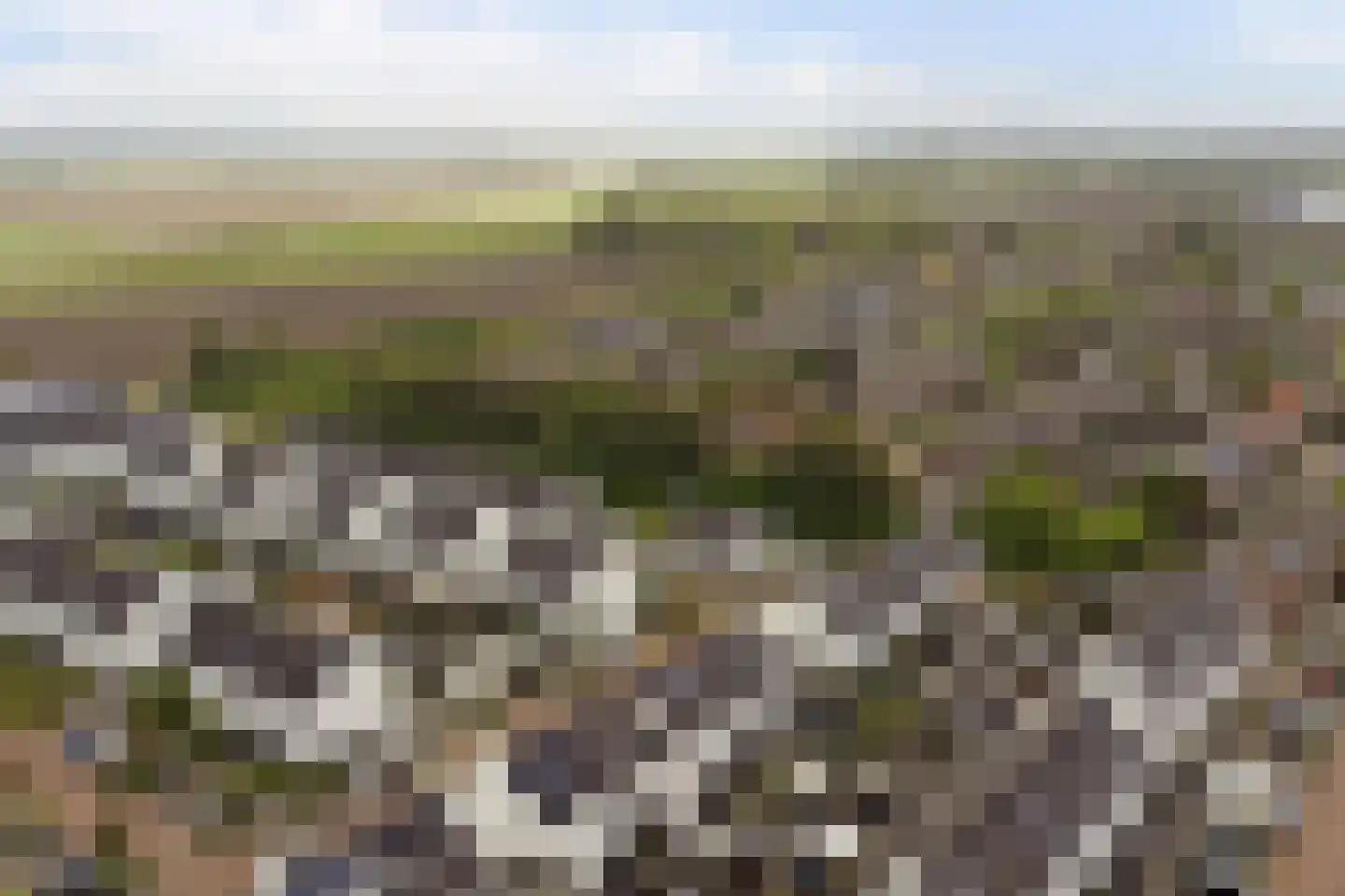 Sterappel 26 Fijnaart thumbnail 45