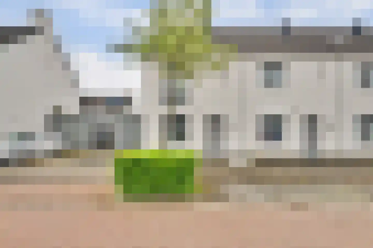 Sterappel 26 Fijnaart thumbnail 50