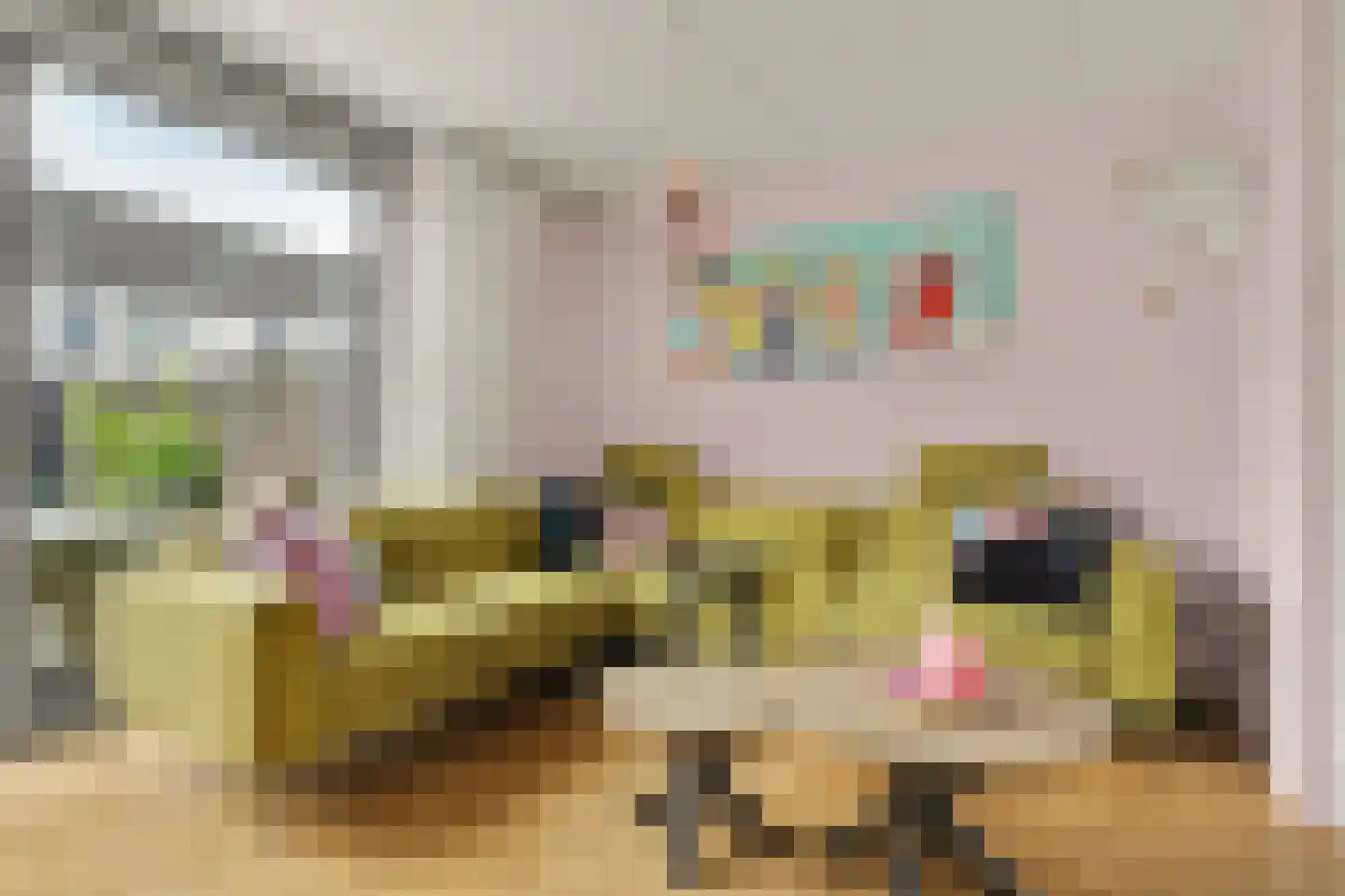 Sterappel 26 Fijnaart thumbnail 6