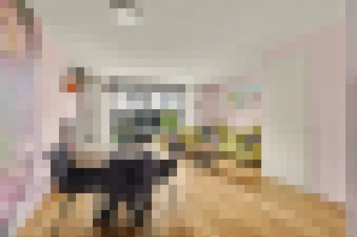 Sterappel 26 Fijnaart thumbnail 7