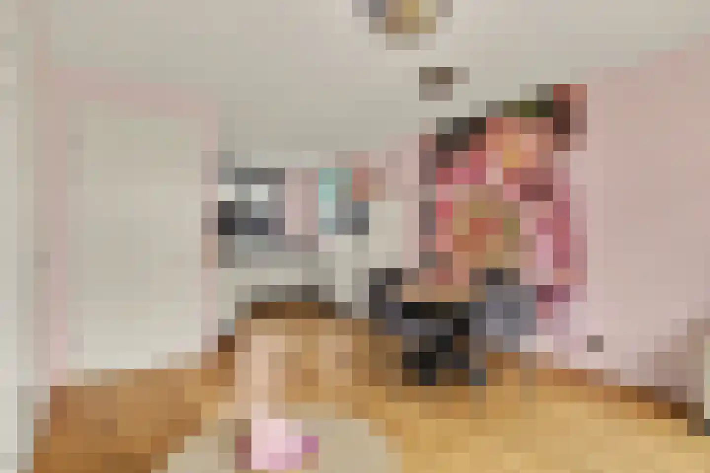 Sterappel 26 Fijnaart thumbnail 8