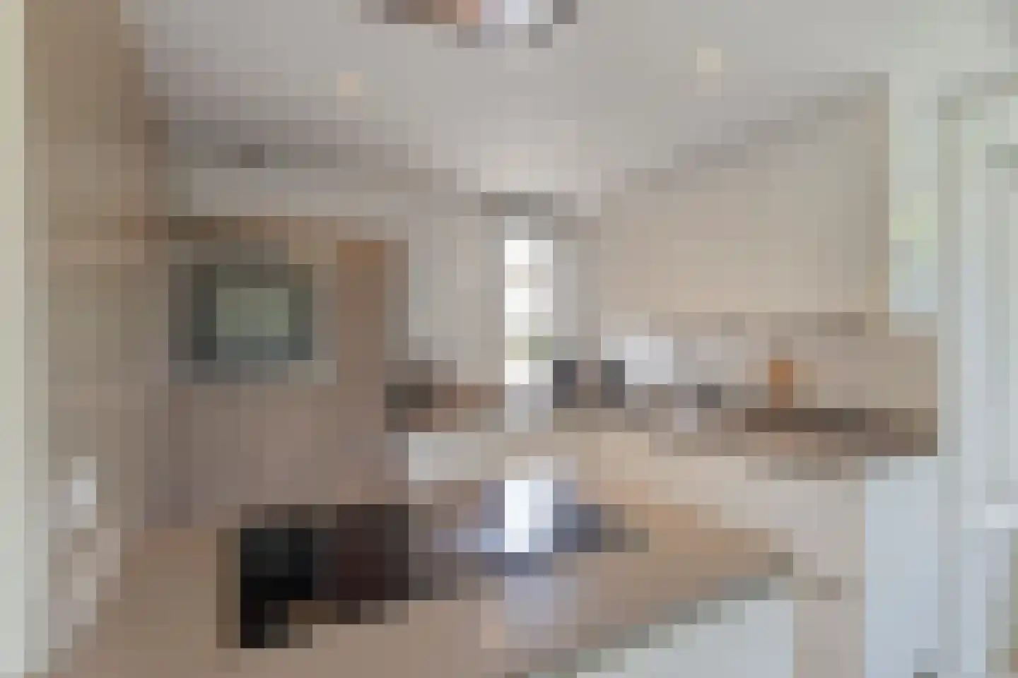 Sterappel 28 Eijsden thumbnail 10