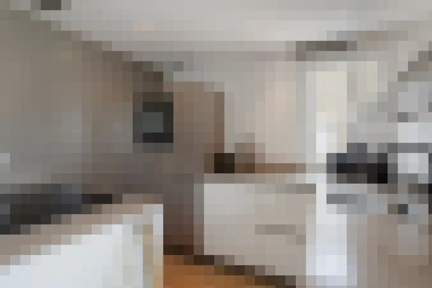 Sterappel 28 Eijsden thumbnail 11