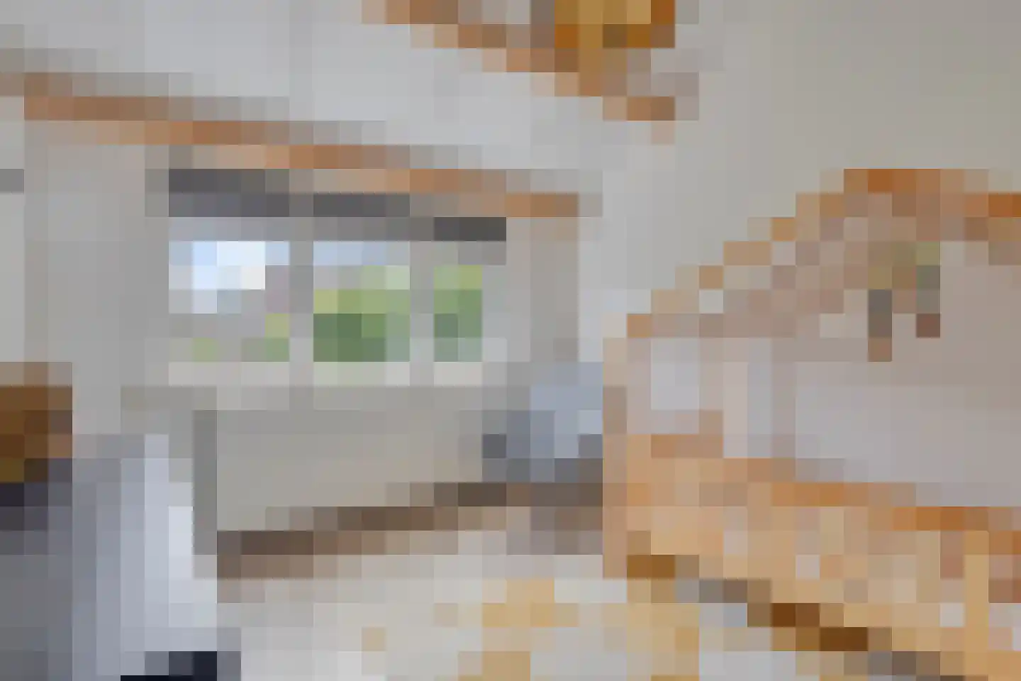 Sterappel 28 Eijsden thumbnail 20