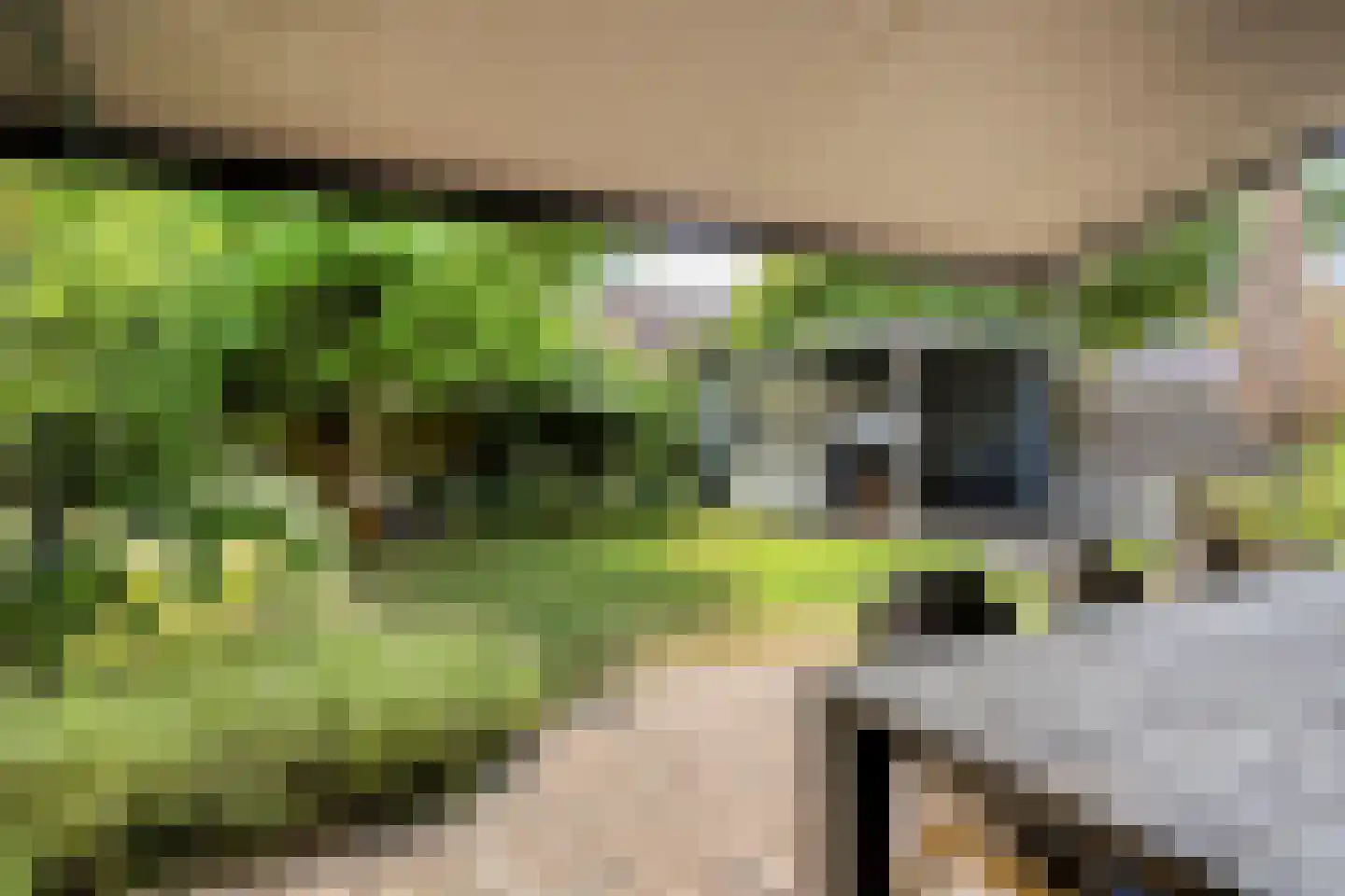 Sterappel 28 Eijsden thumbnail 32